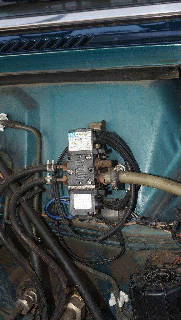 DSC07854.jpg