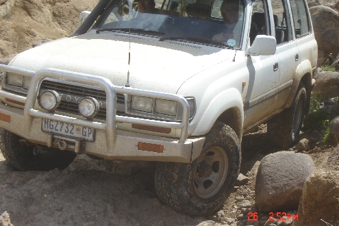BulleBak Baboons.jpg