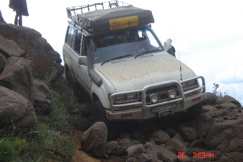BulleBak Baboons2.jpg