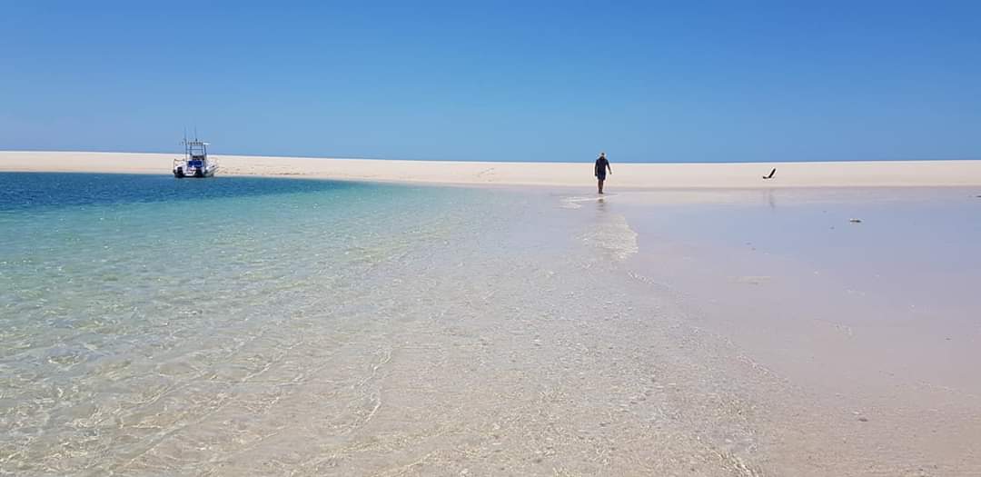Bd island