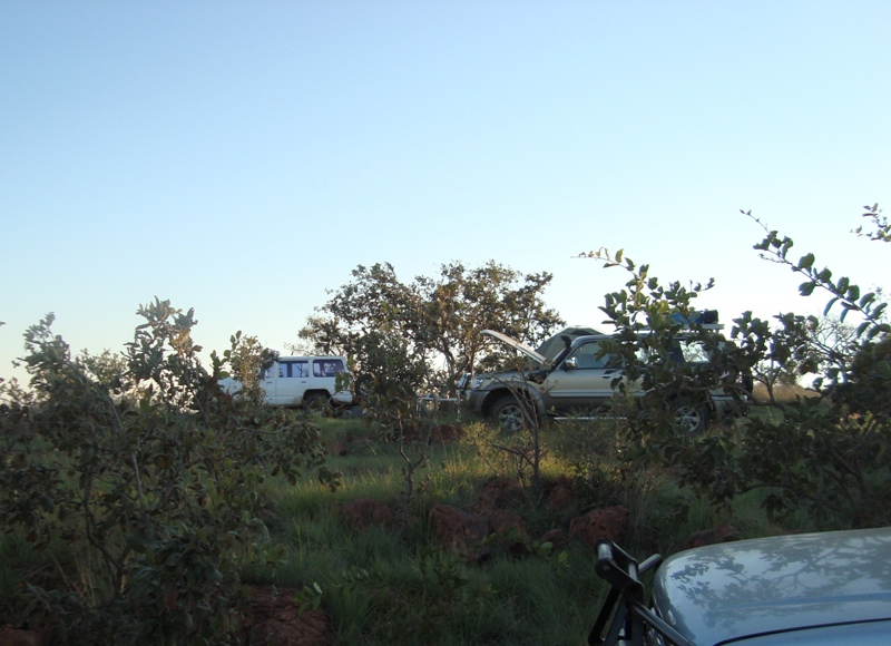 DSC03196.JPG