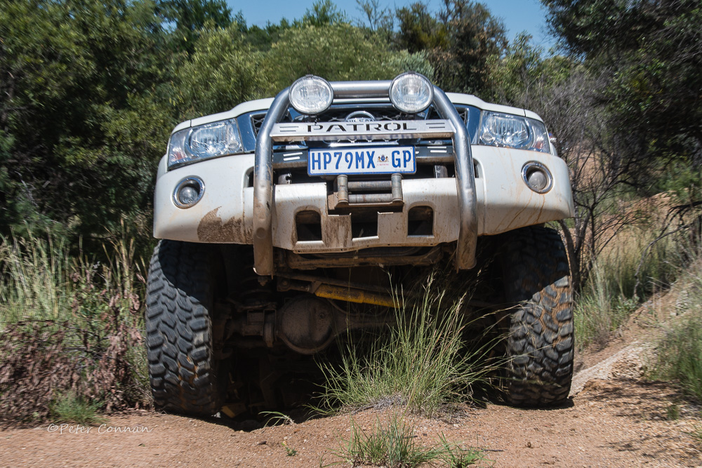 Moegatle2020ODP-30.jpg