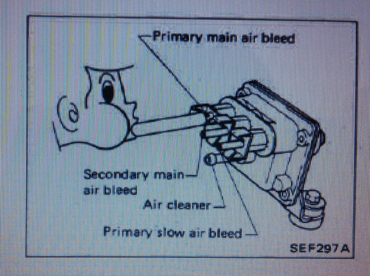 image.jpeg