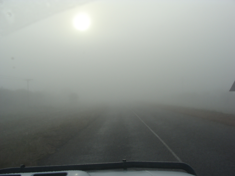 Early morning mist next to the Rust de Winter dam