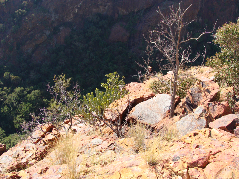 Some people simply have no fear of heights!