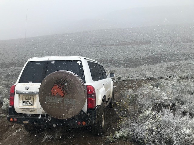 Trol snow.jpg
