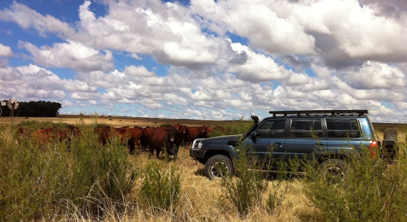 Patrol May 2011 001.jpg