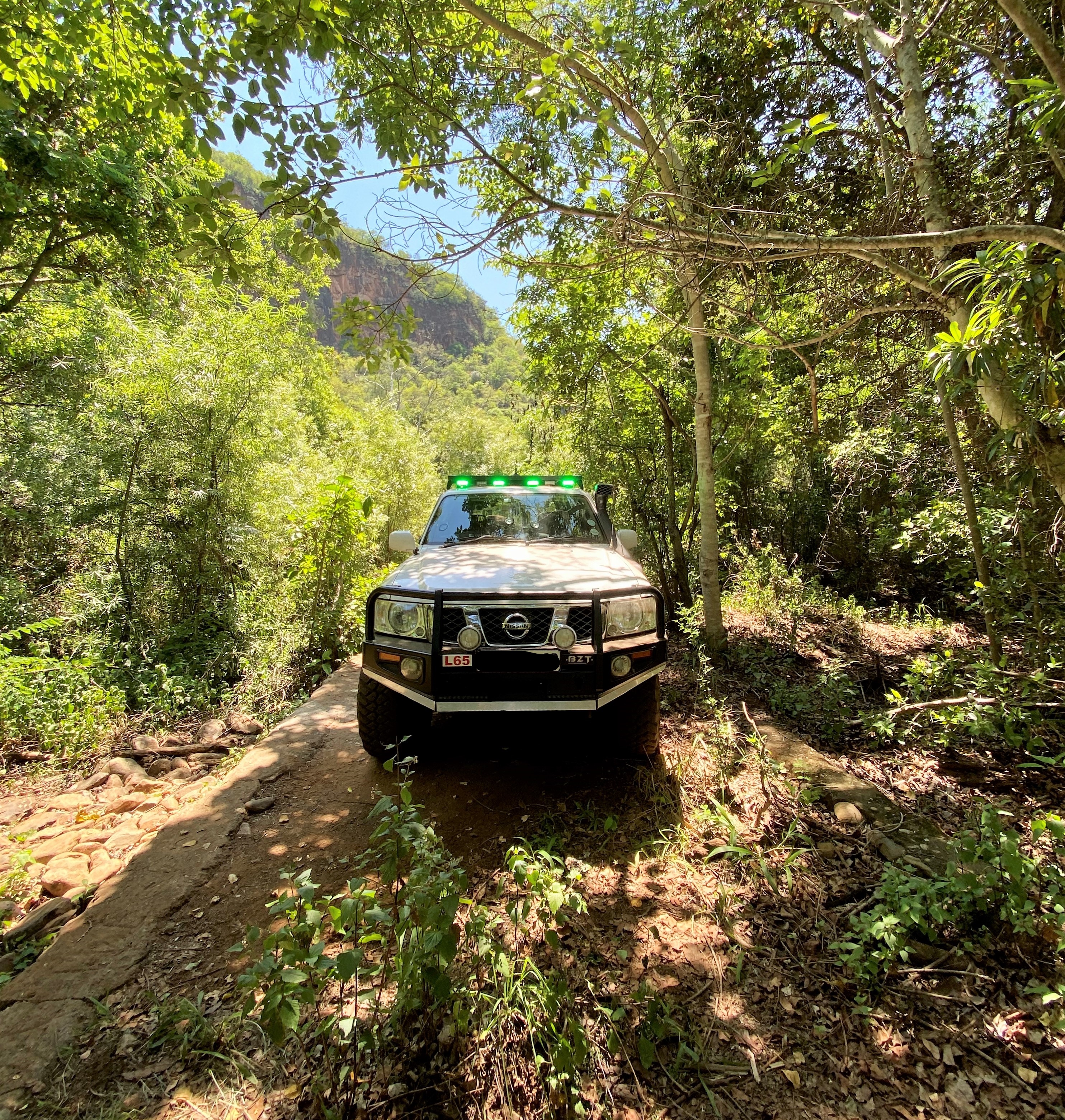 In the heart of the wilderness