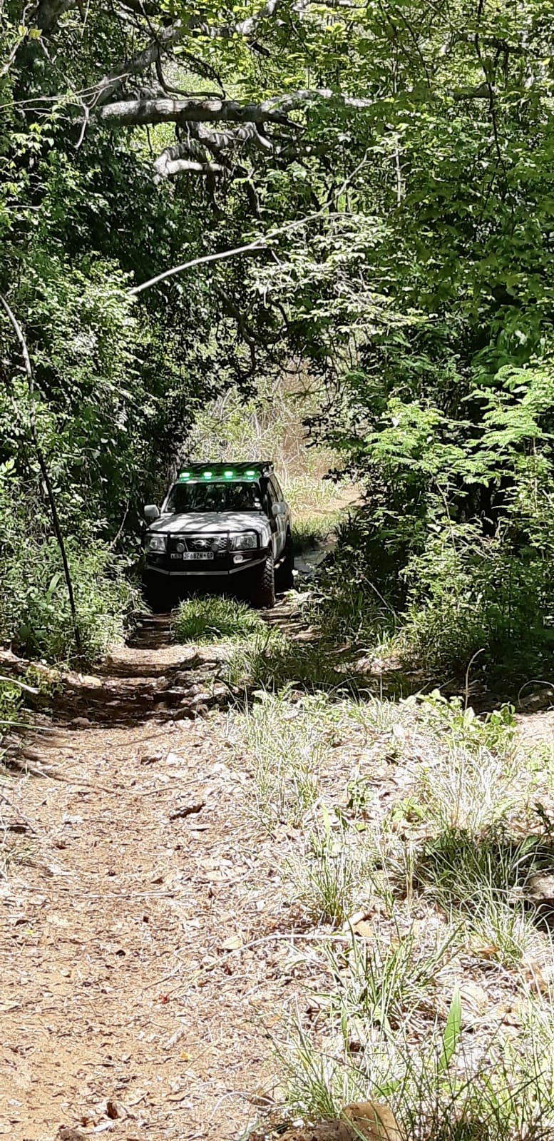 In the heart of the wilderness