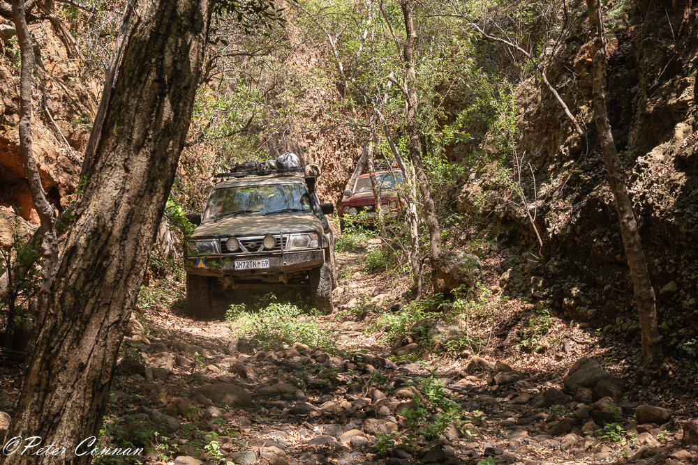RDW4x4-1.jpg