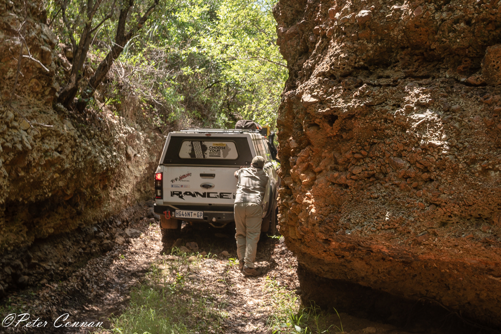 RDW4x4-2.jpg