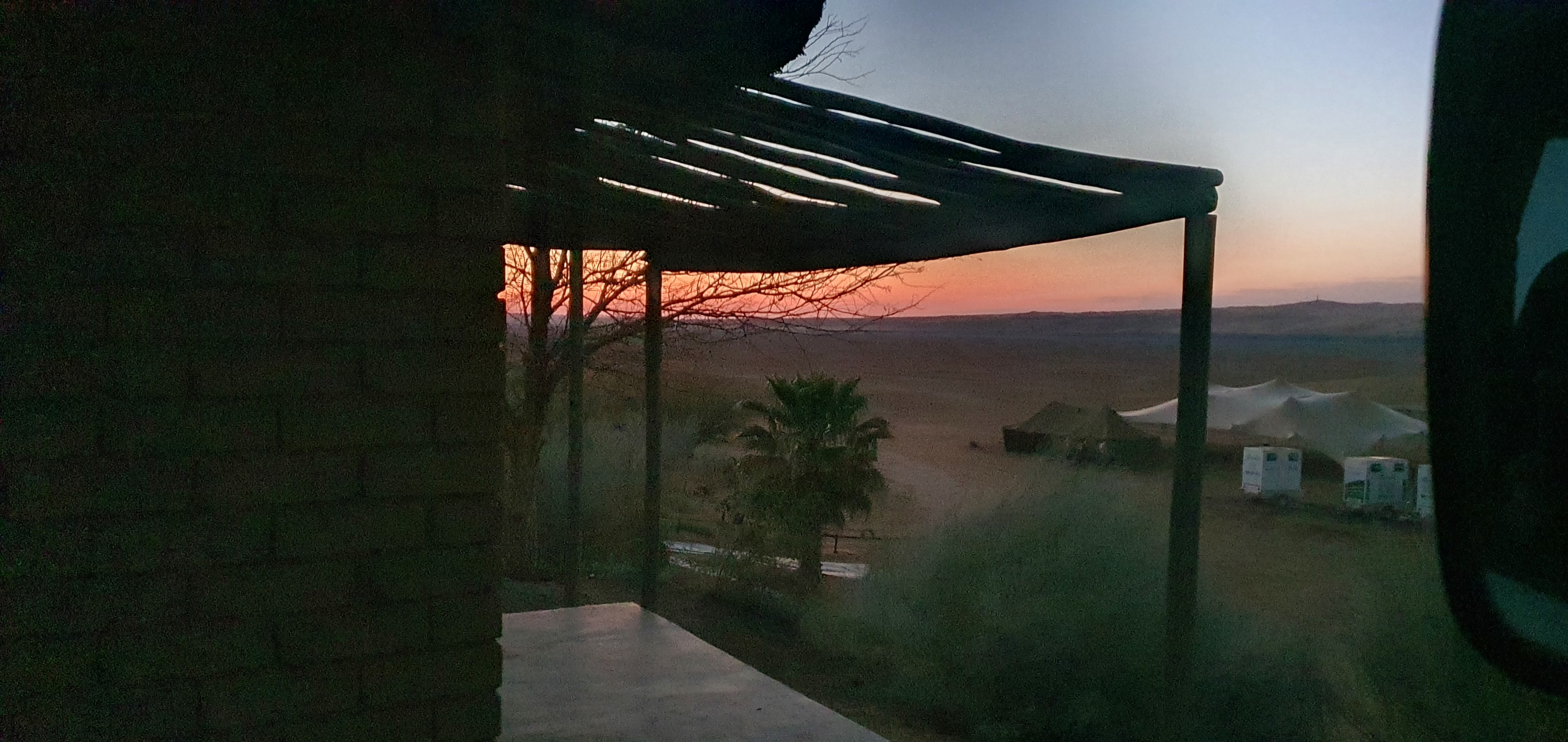 20210923_055806.jpg