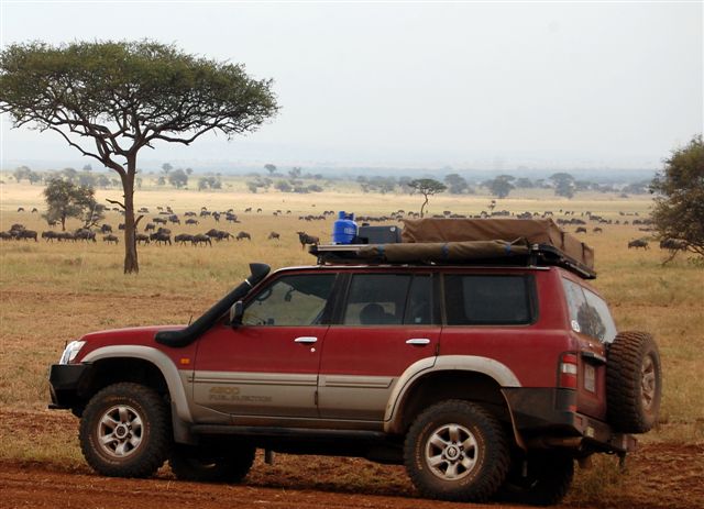 Patrol with Wildebeest Migration in the background
