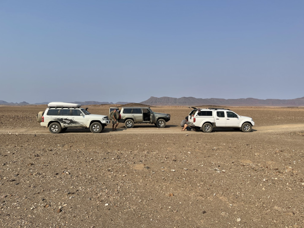 HV_IMG_6478 (Large).JPG