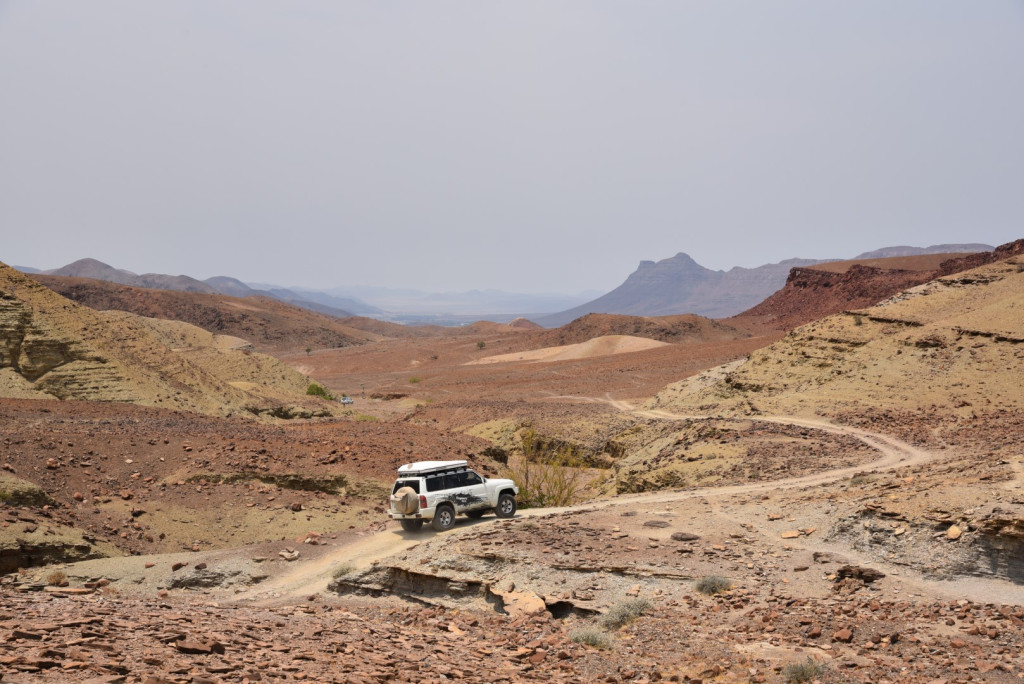 JM_D75_3175 (Large).JPG