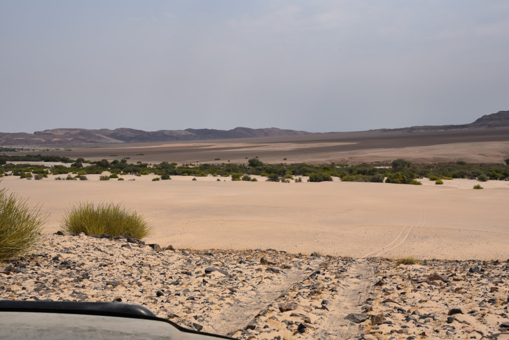JM_D75_3219 (Large).JPG