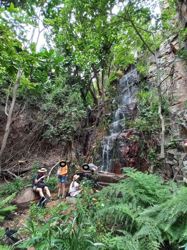 Waterfall