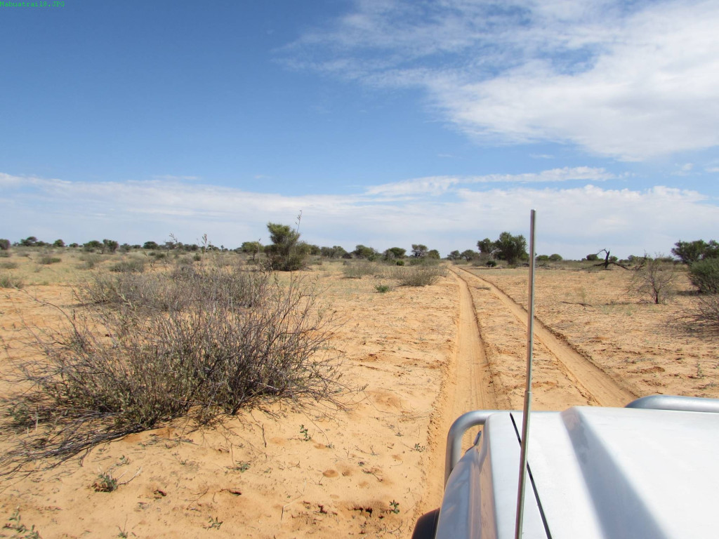 Mabua trail