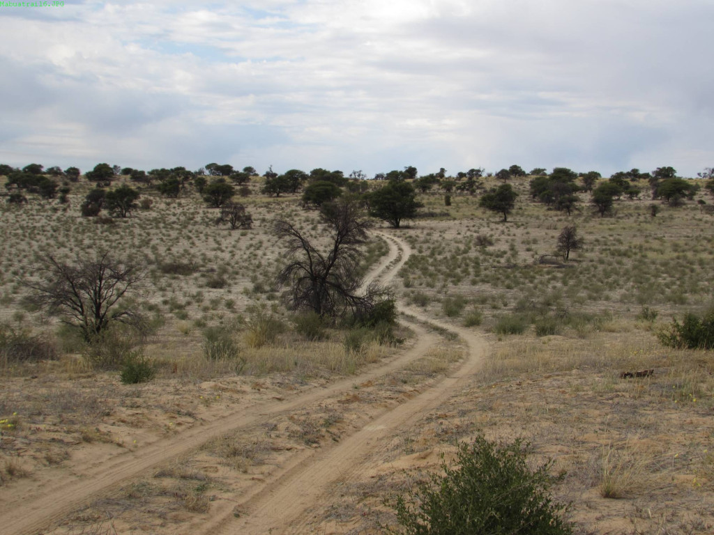 Mabua trail