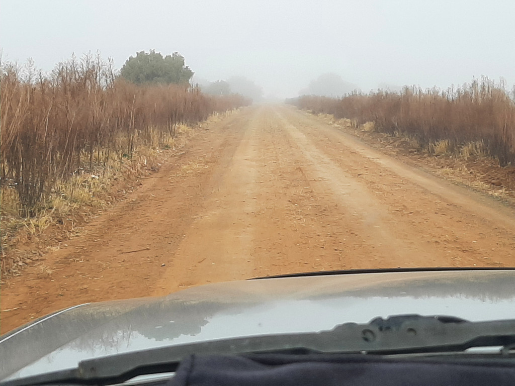 Patrol in the mist from Jacobsdal