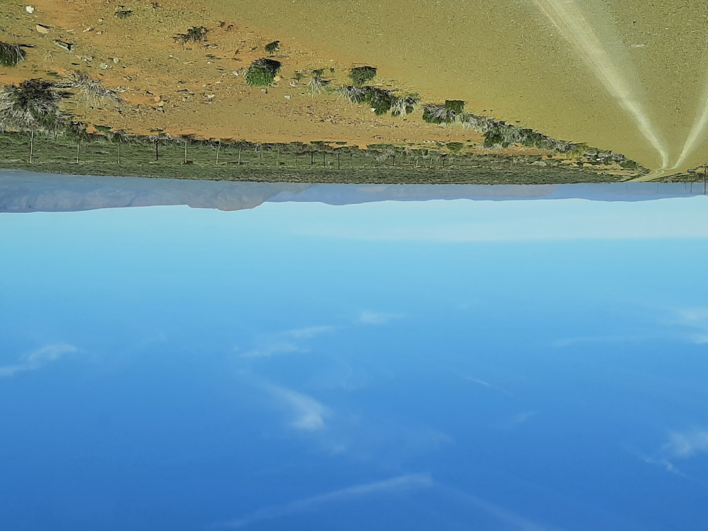 In the basin