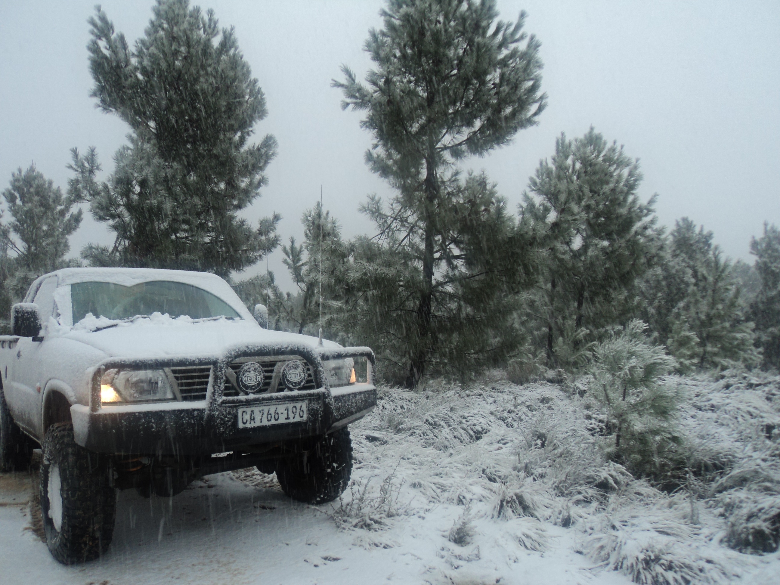 Snow Patrol 2.jpg