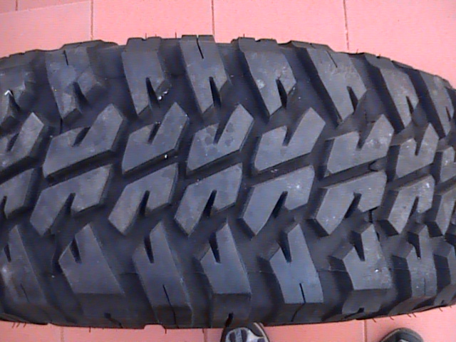 DVC04199.JPG