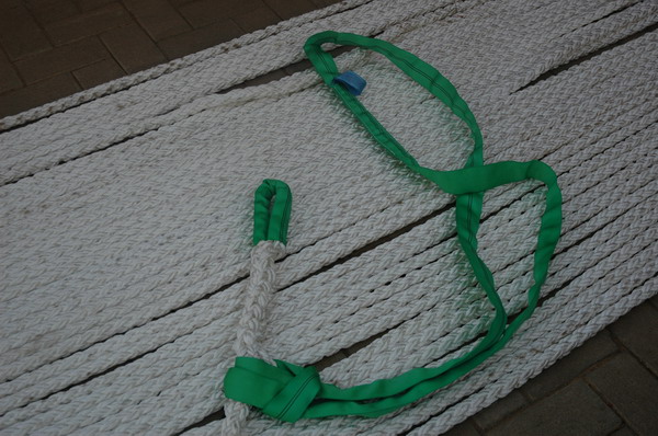 Rope and bridle.JPG