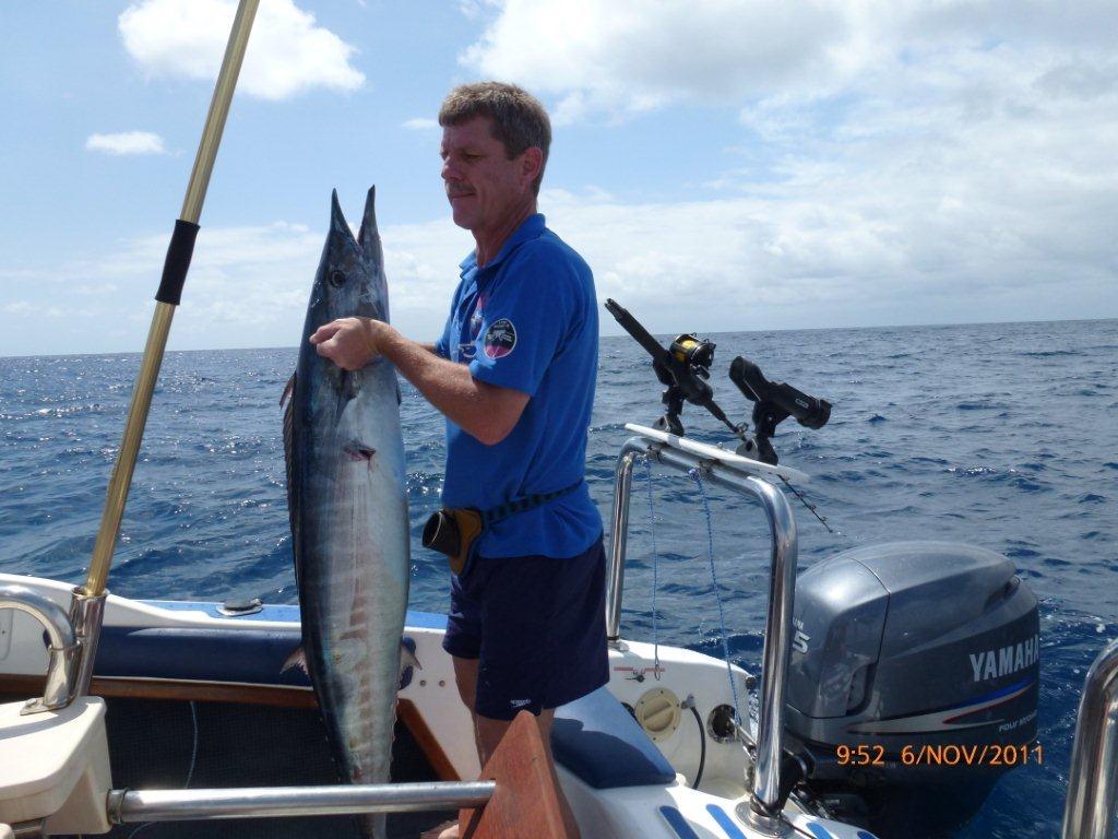 Nice Wahoo
