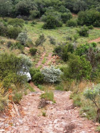 Cedric in Ricster on his way up the hill.jpg
