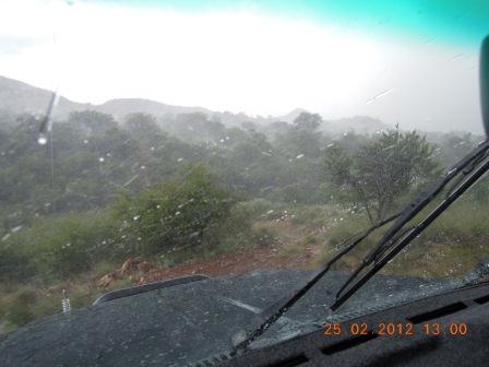 Rain.jpg
