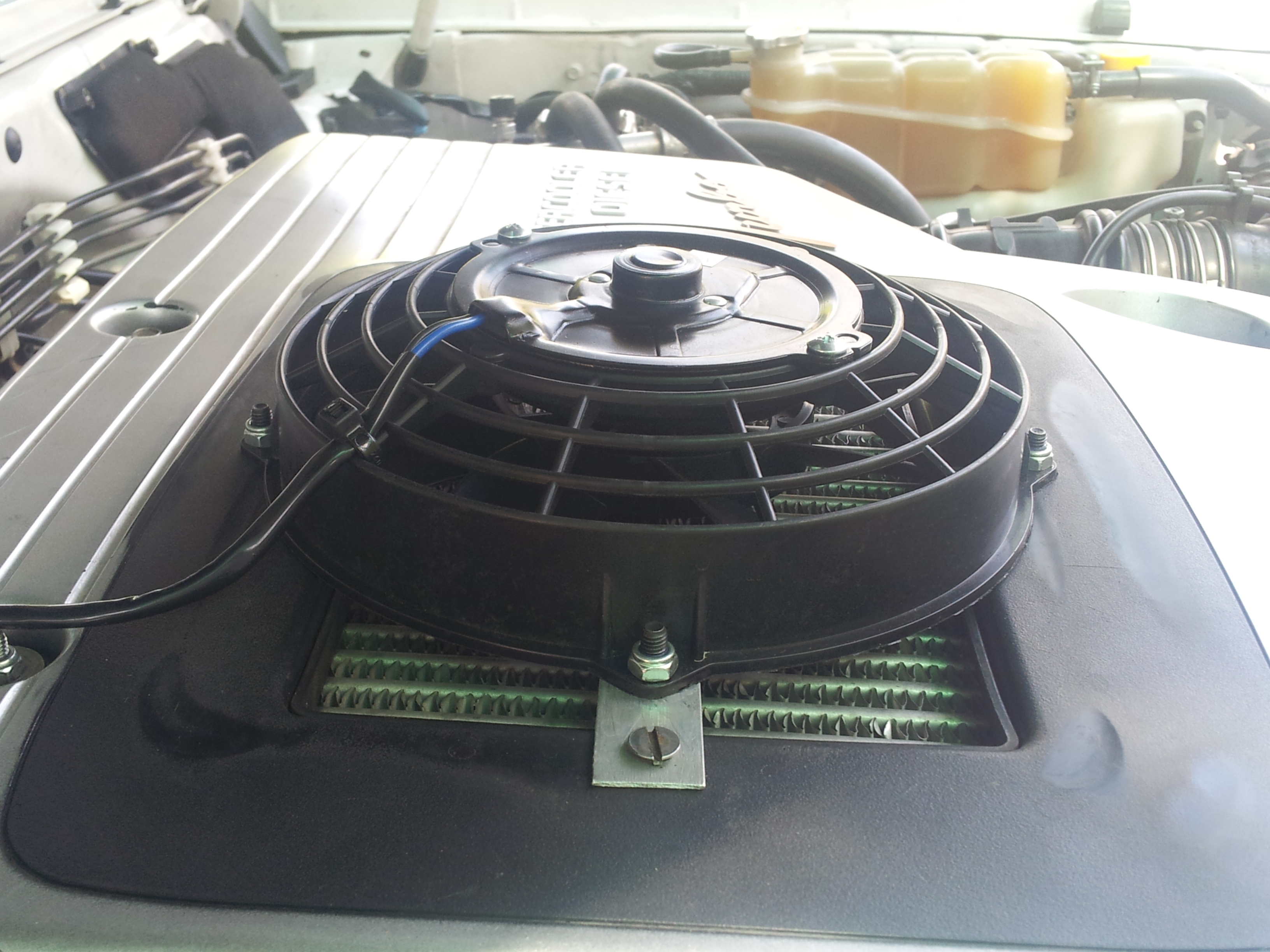 20120307_143155.jpg