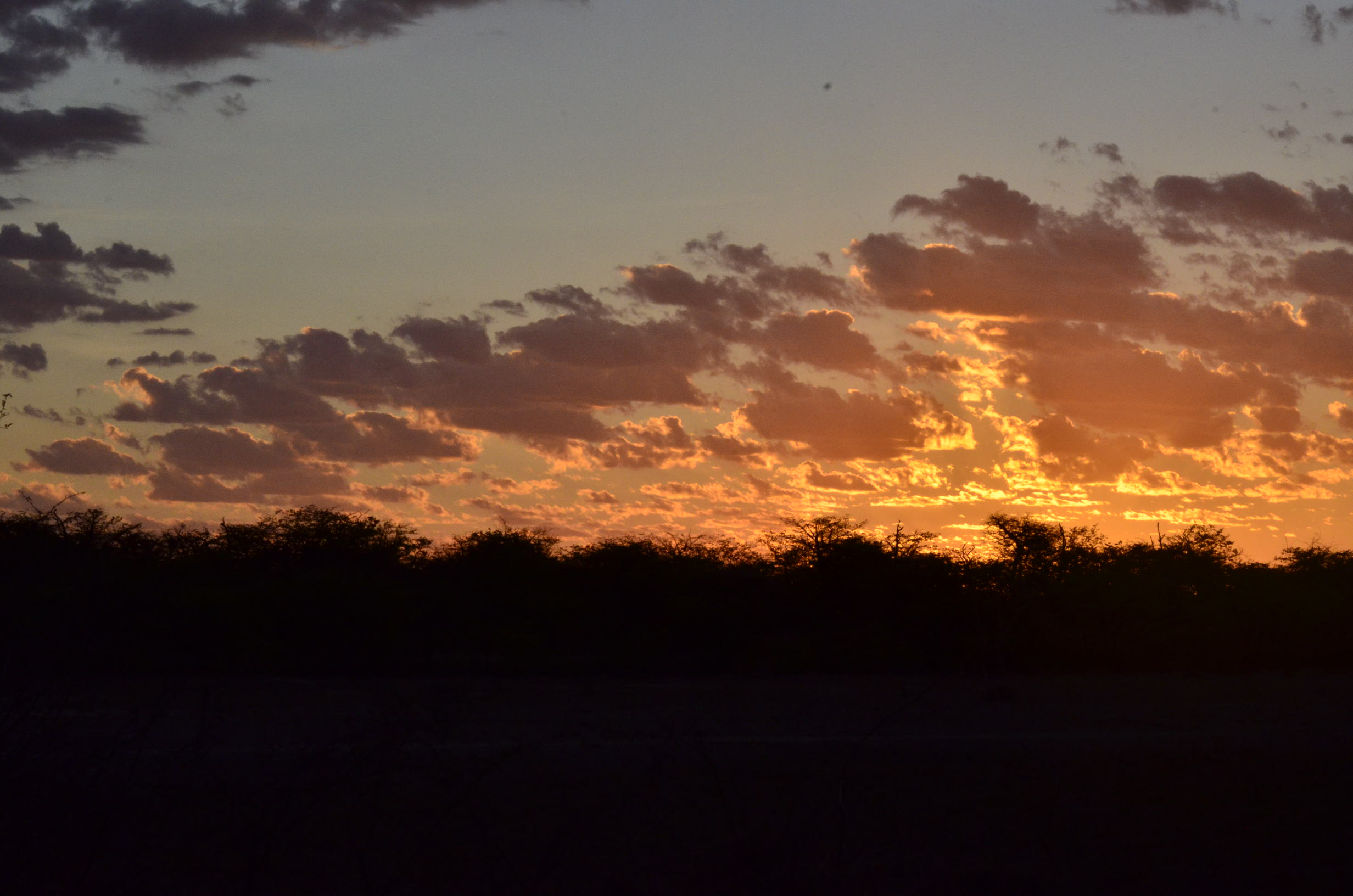 _DSC7373.jpg