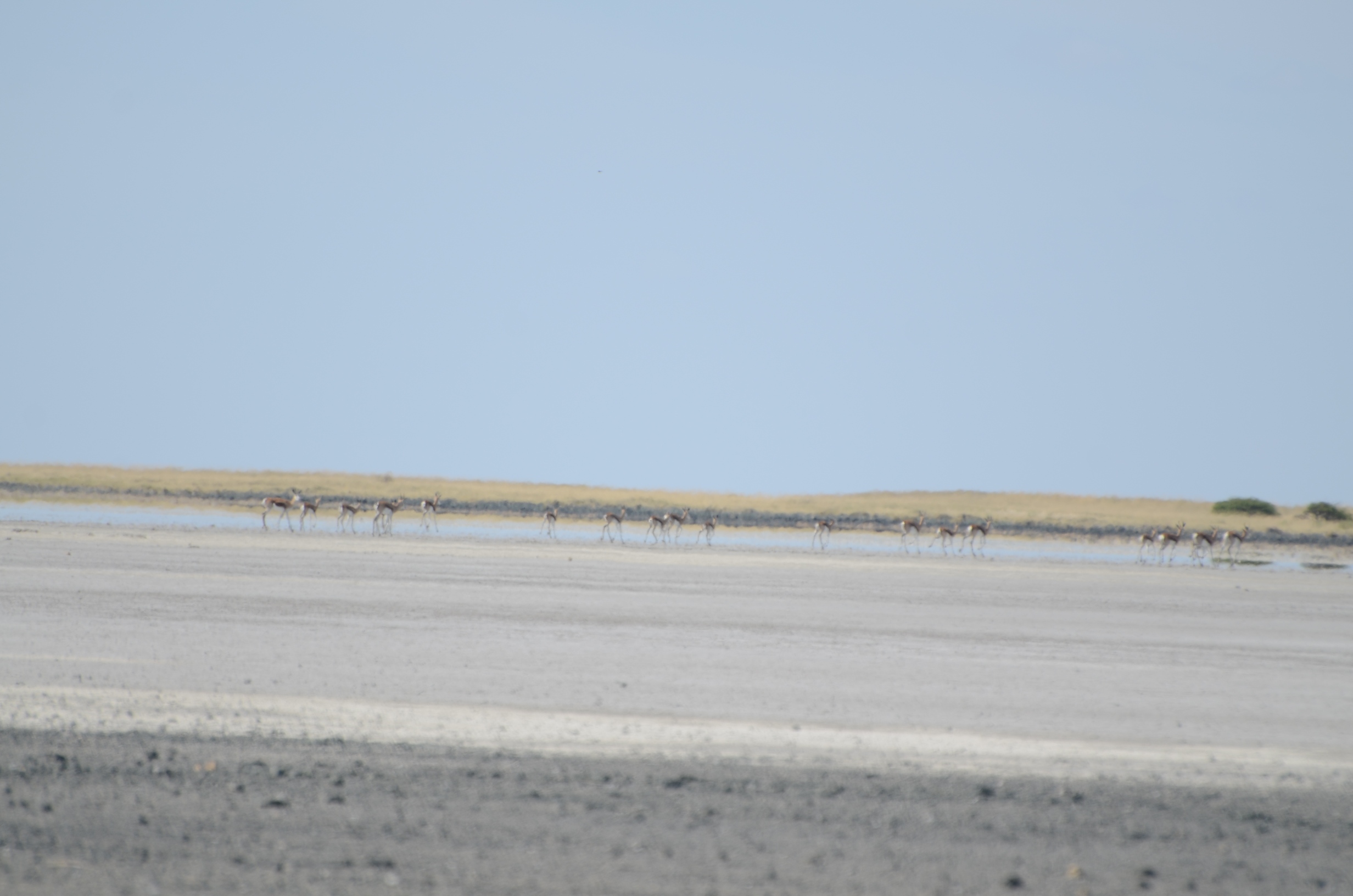 DSC_5566s.jpg