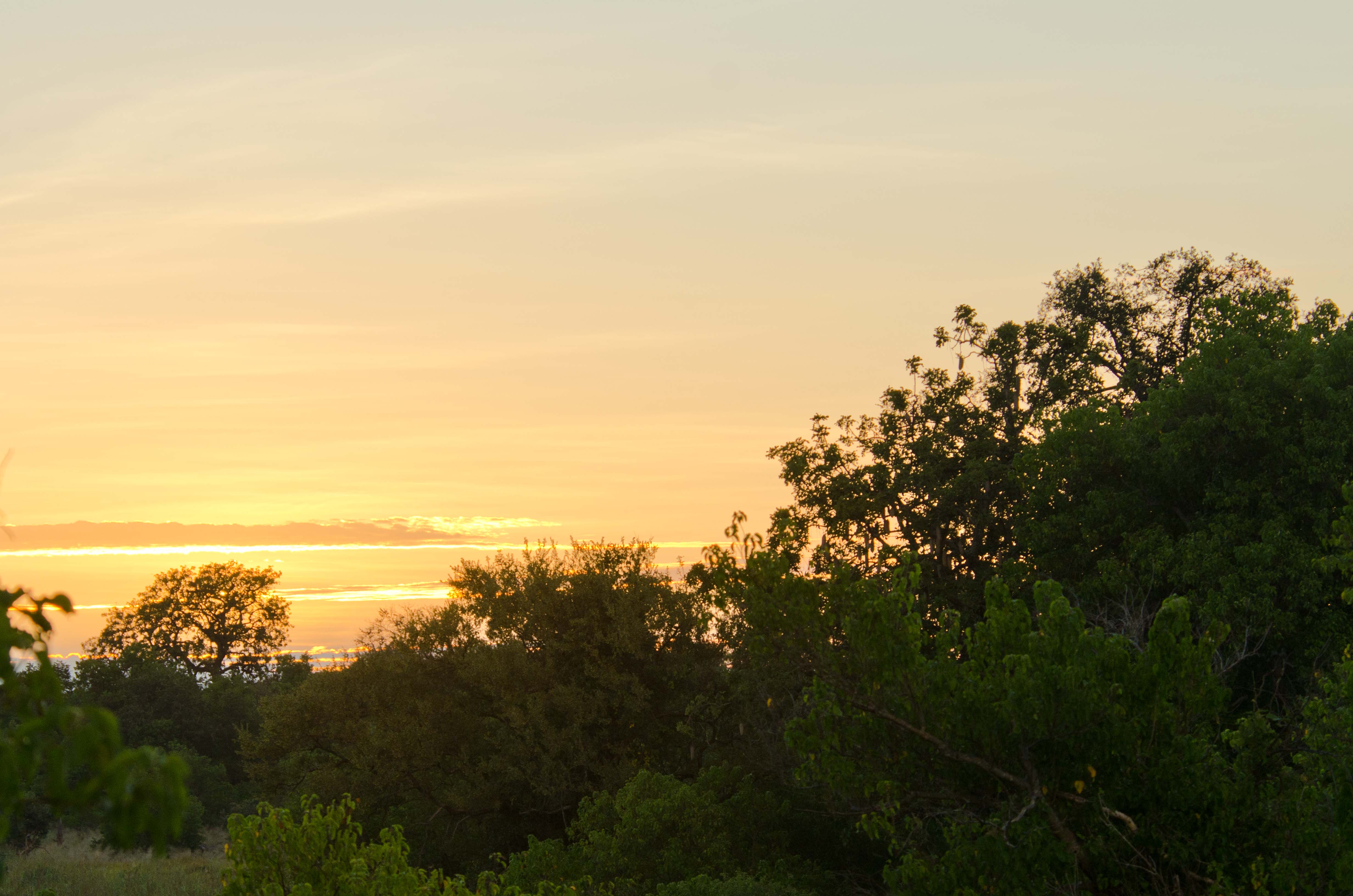 _DSC8295.jpg
