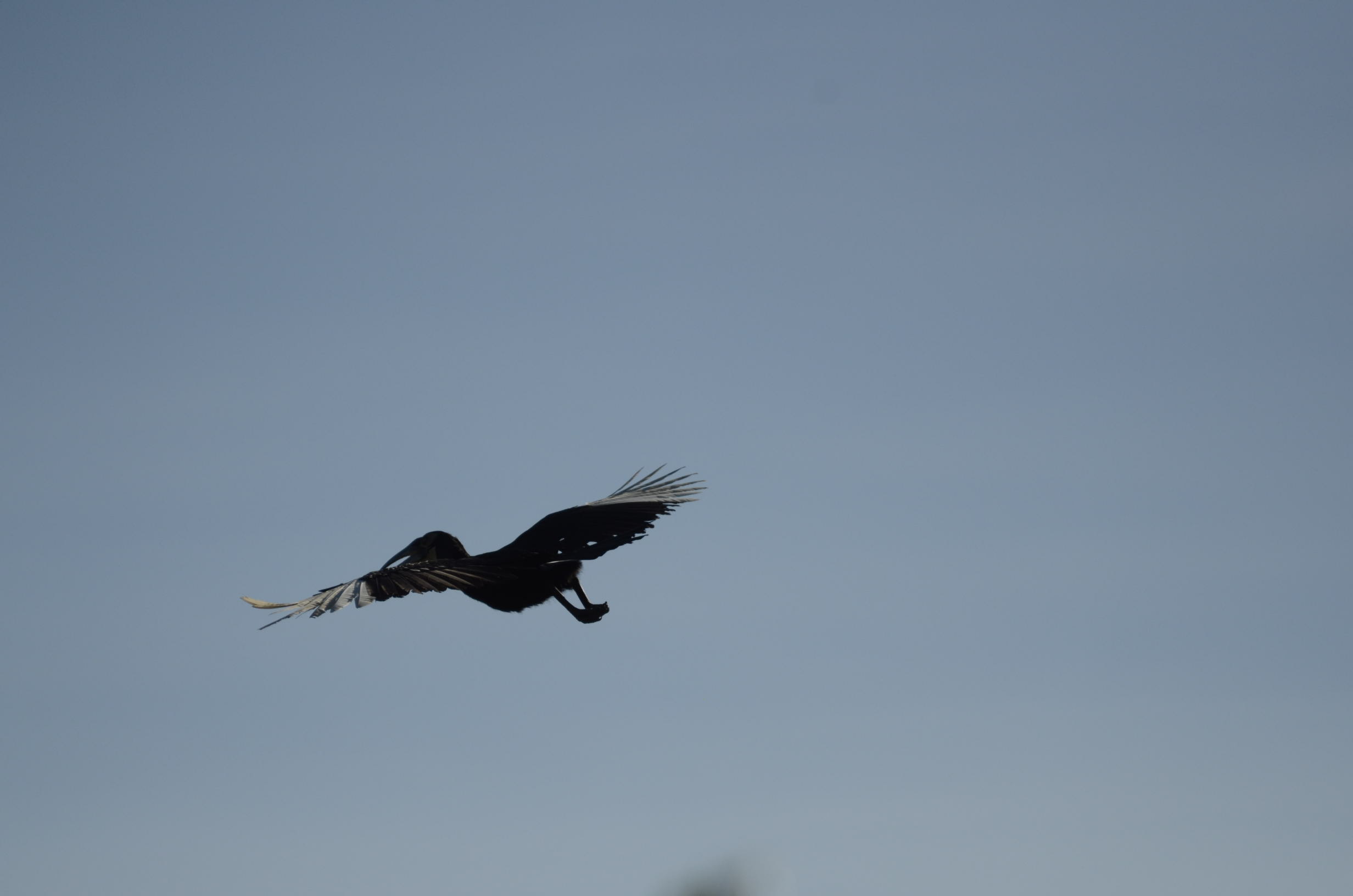 _DSC8539.jpg