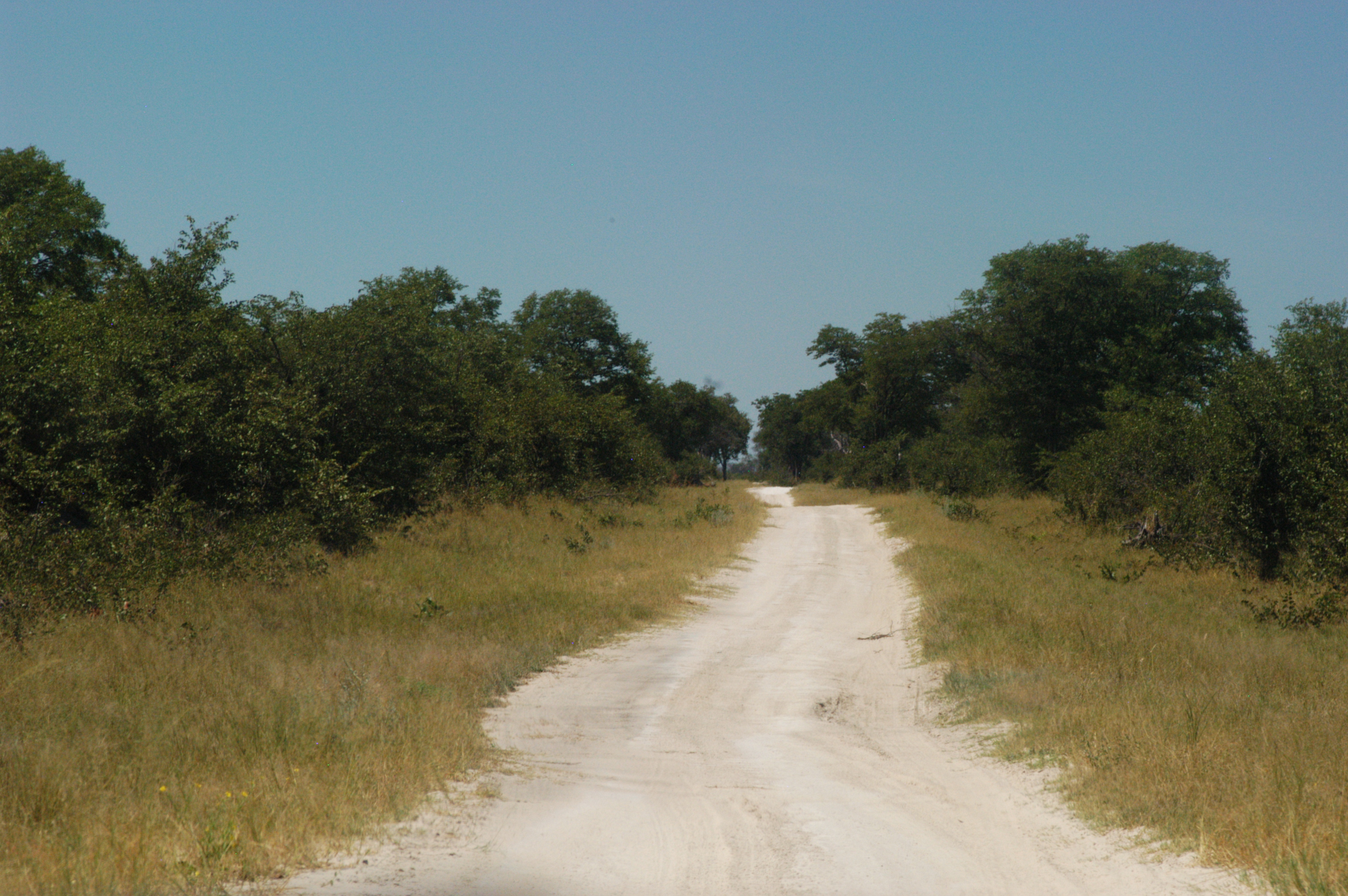 DSC_0363s.jpg