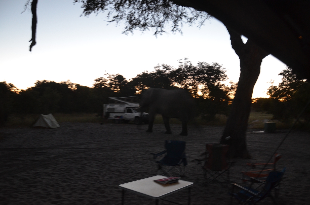 DSC_6005s.jpg