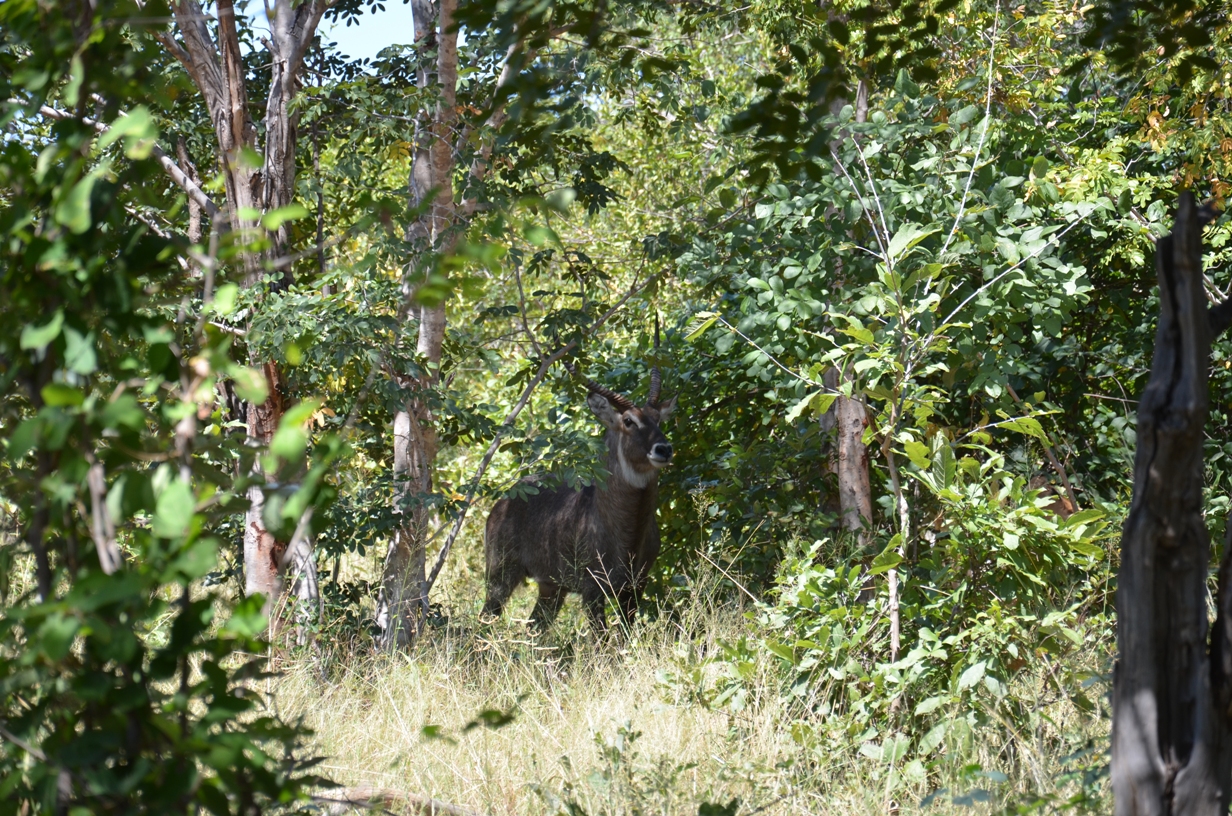 DSC_6081s.jpg