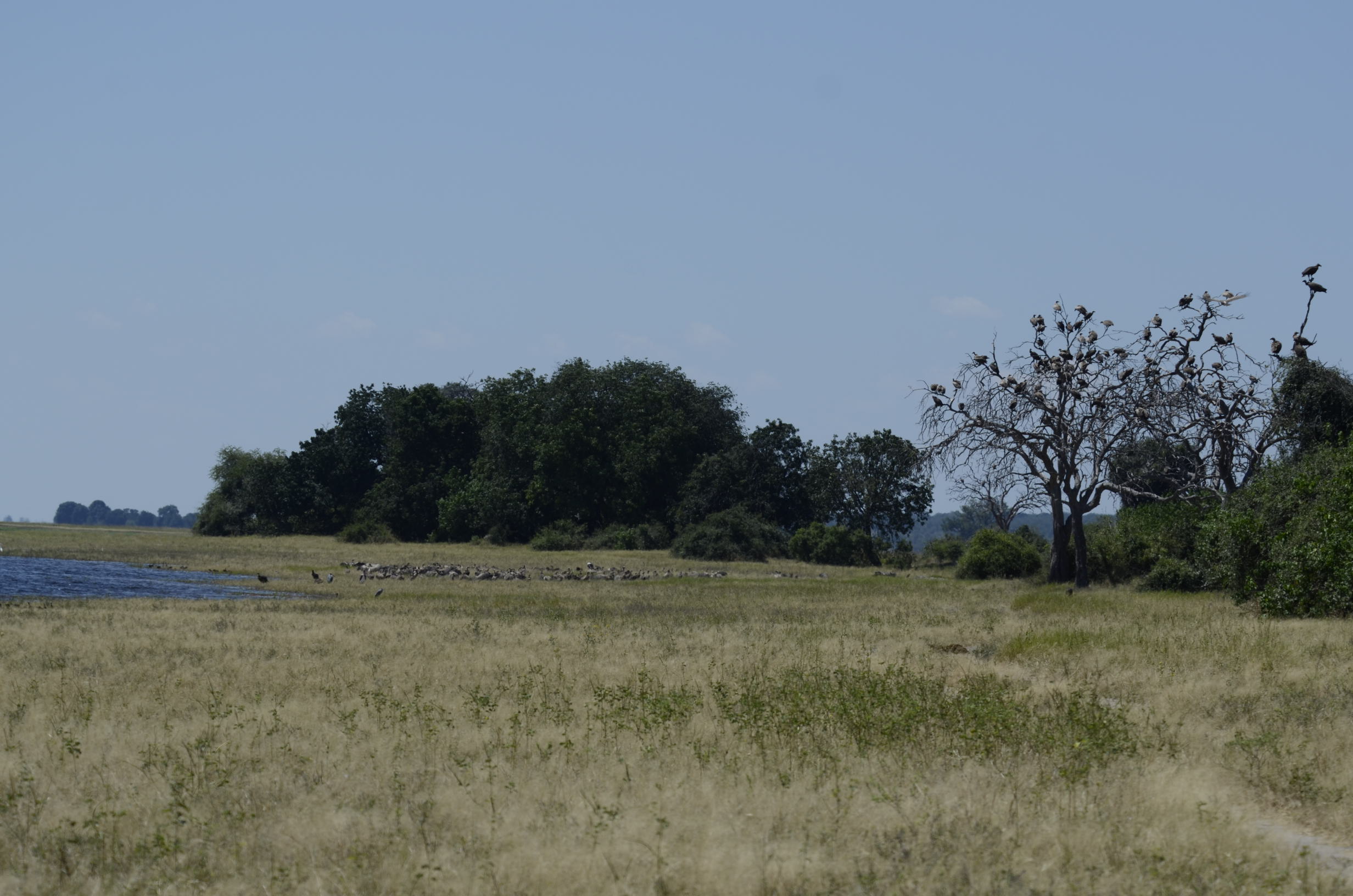 _DSC9042.jpg