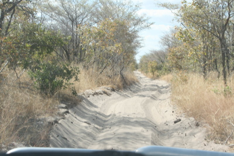 khwai to savuti