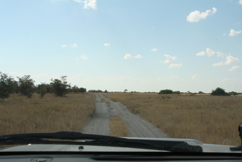 rd to savuti