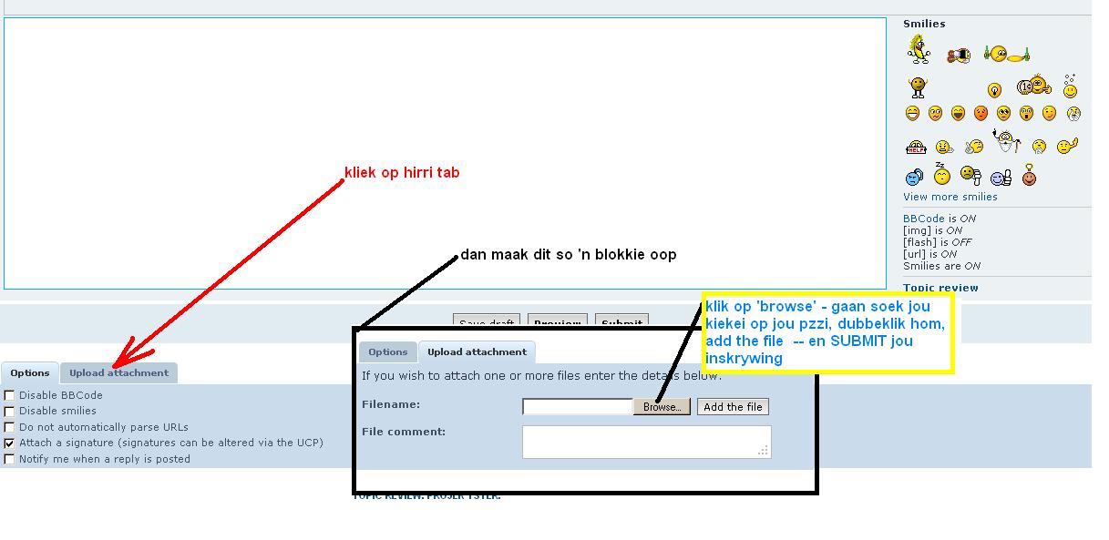 hoe kiekie te plaas.JPG