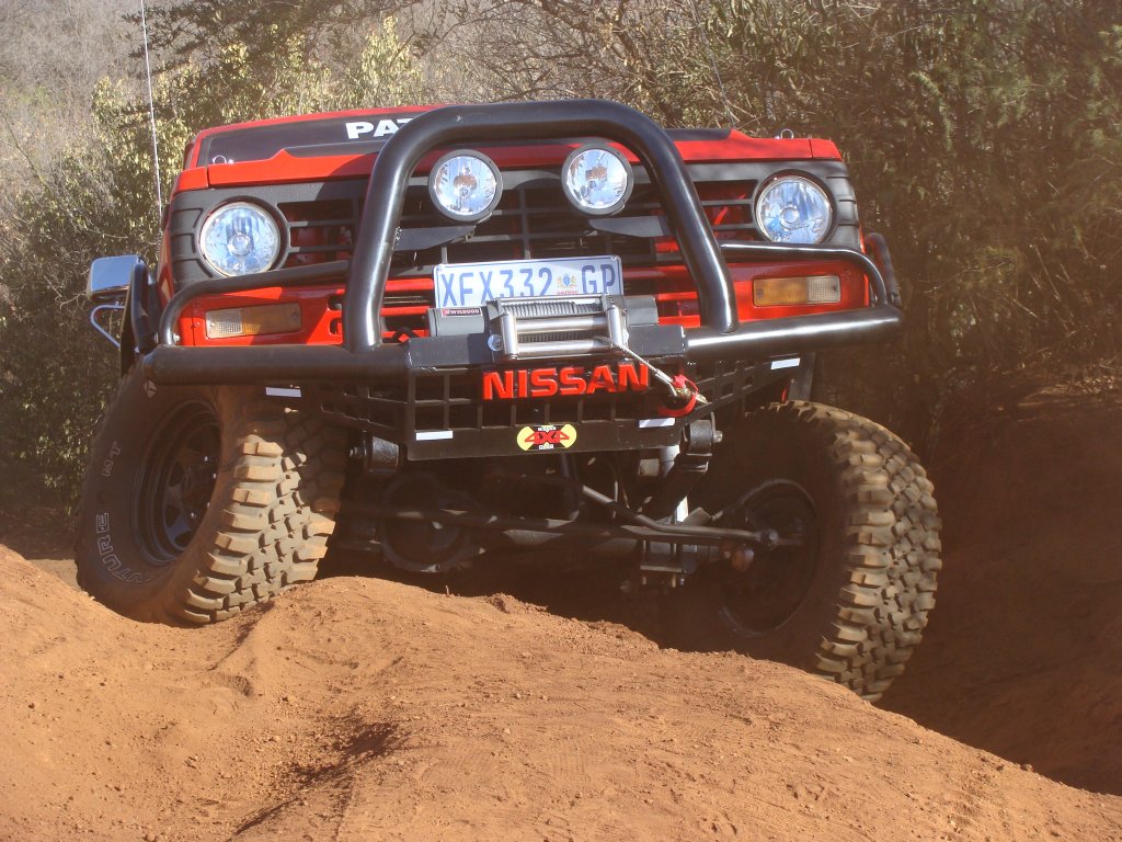 Rhino lyk netjies ge-pimp