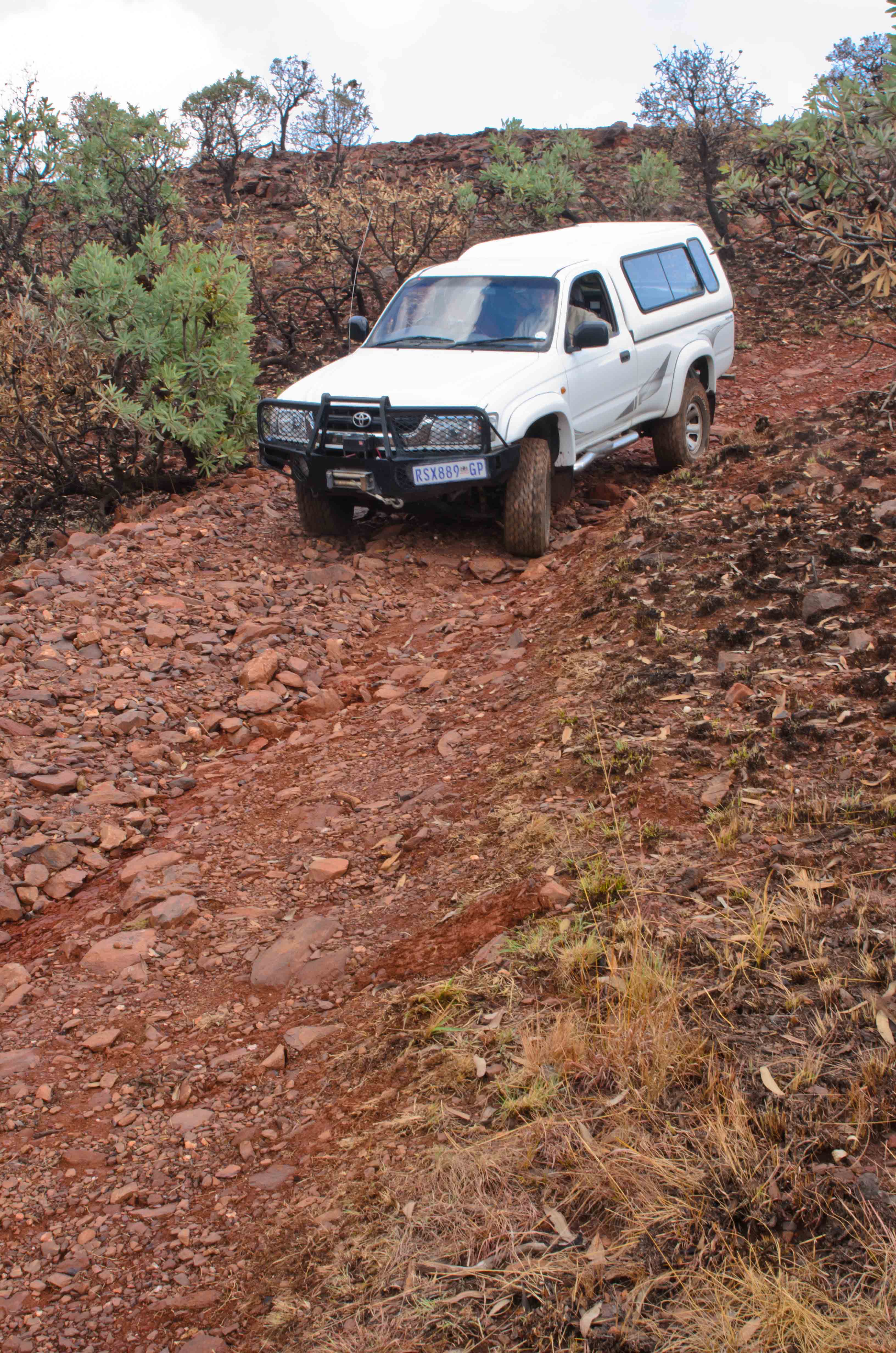 Hilux.jpg