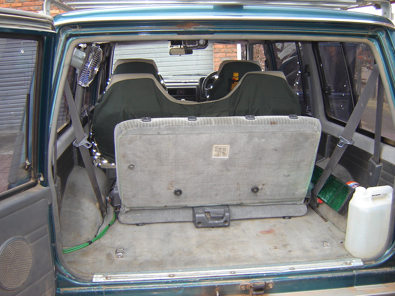 SwannieDSC00909.JPG