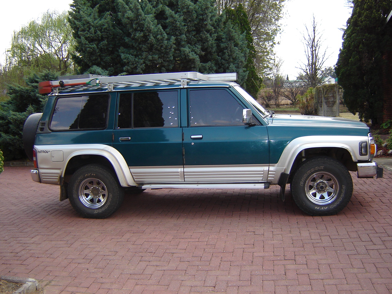 SwannieDSC00906.JPG