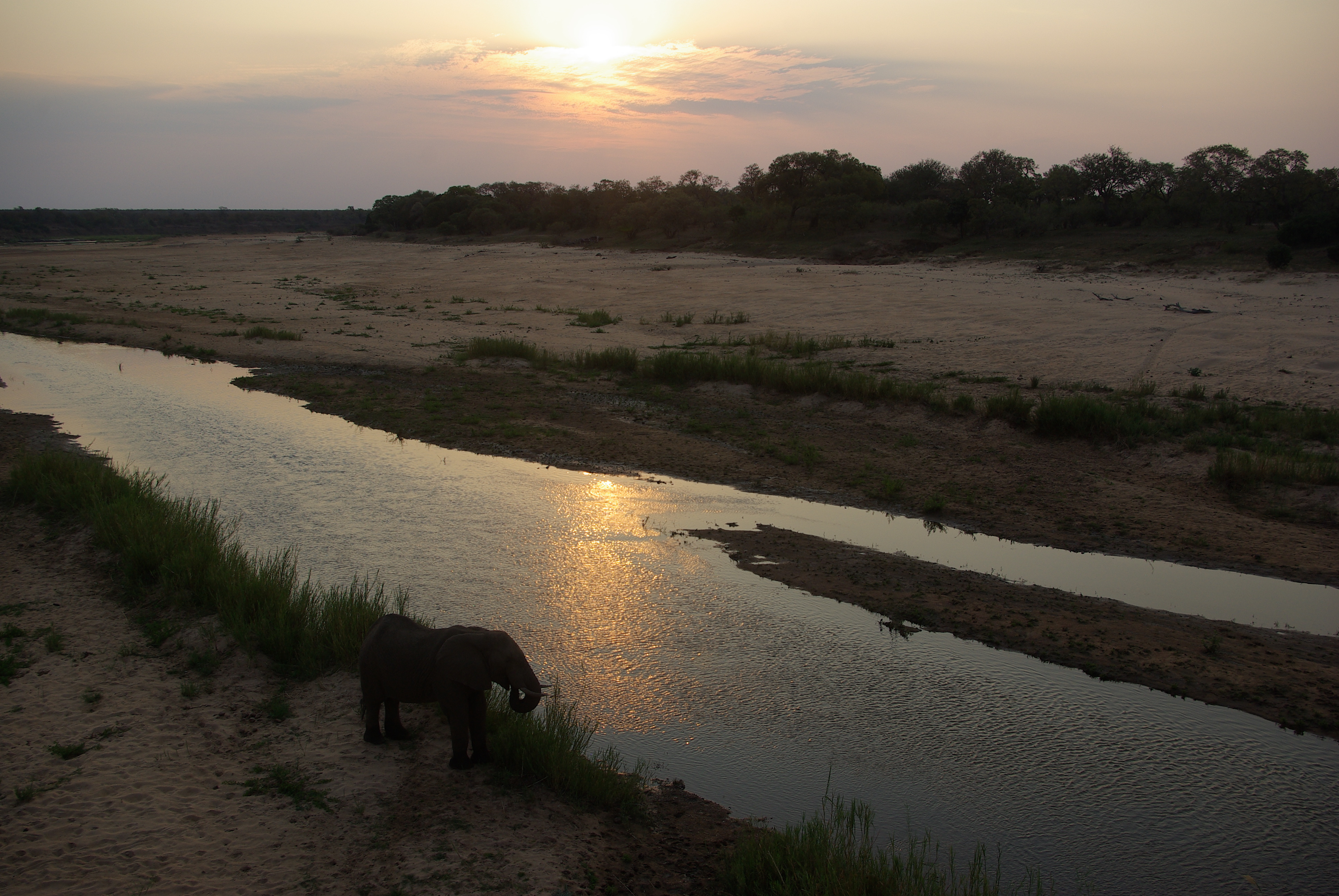 Kruger Sept 2012 160.JPG