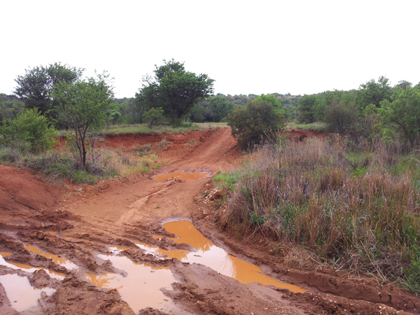 One of the muddy spots.