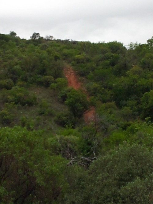 An interesting incline.